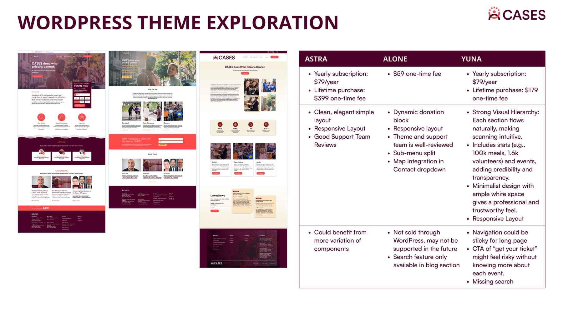 WordPress theme exploration comparing three theme options side by side
