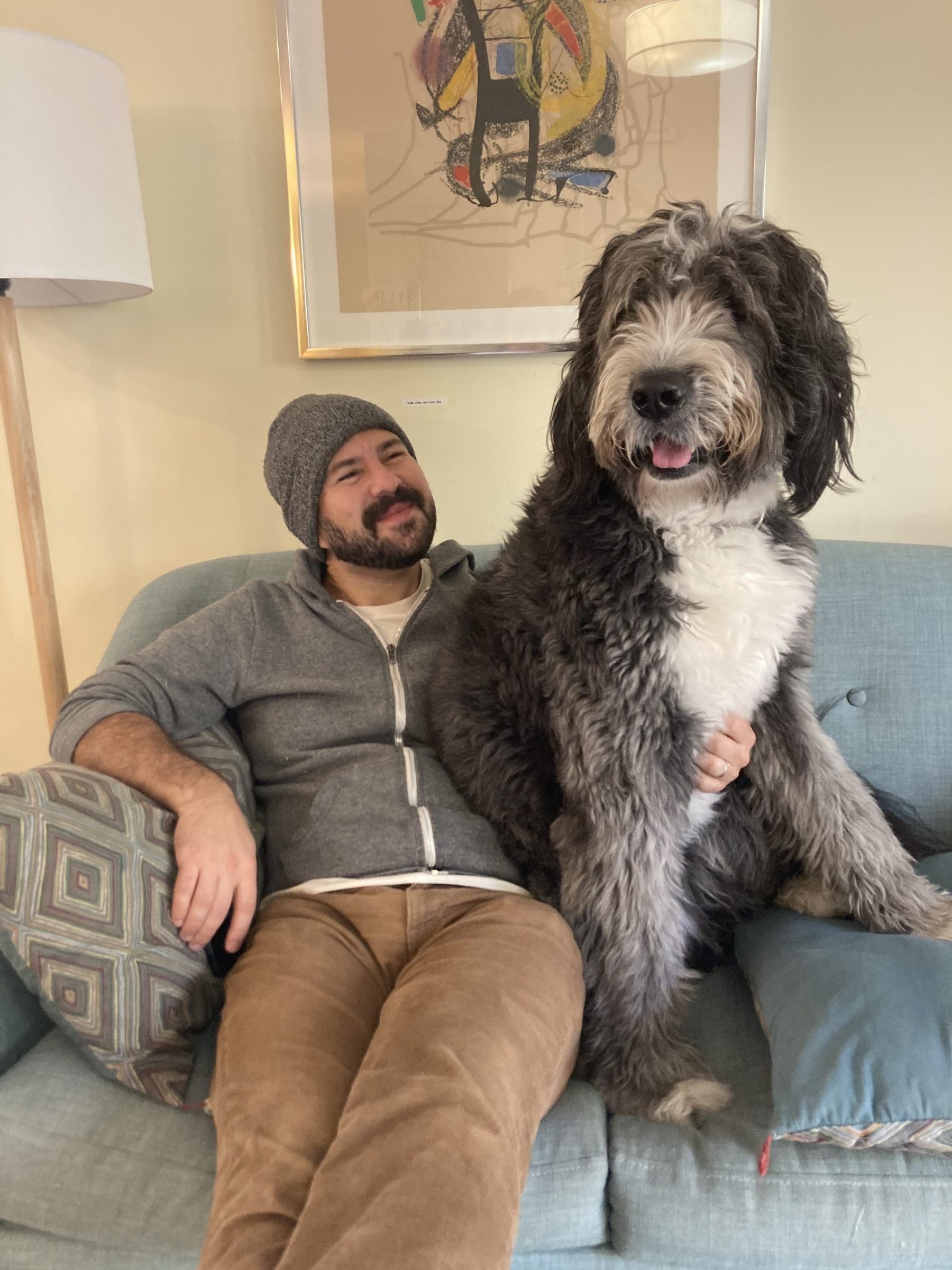 Greg on the couch with his giant dog