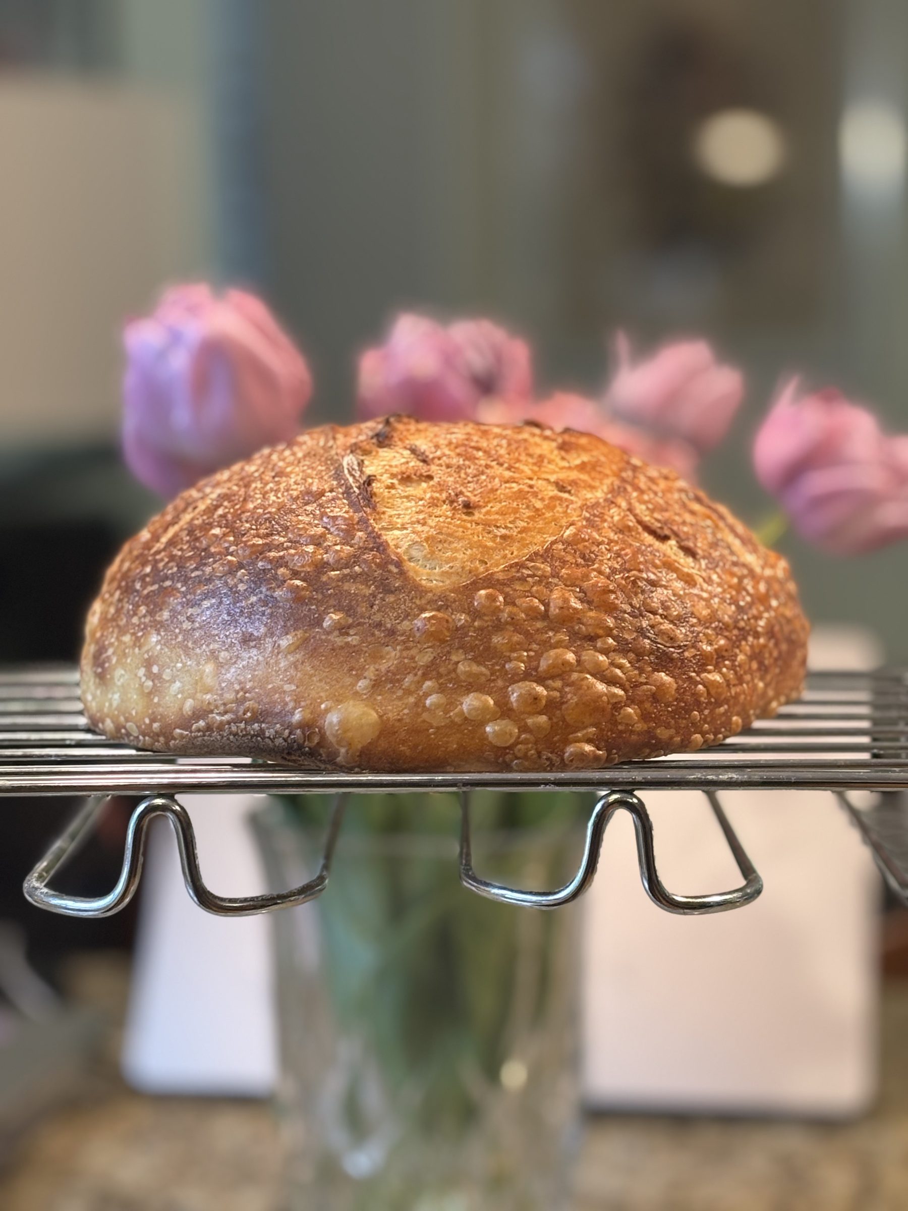 A loaf of sourdough on a cooling rack in front of tulips
