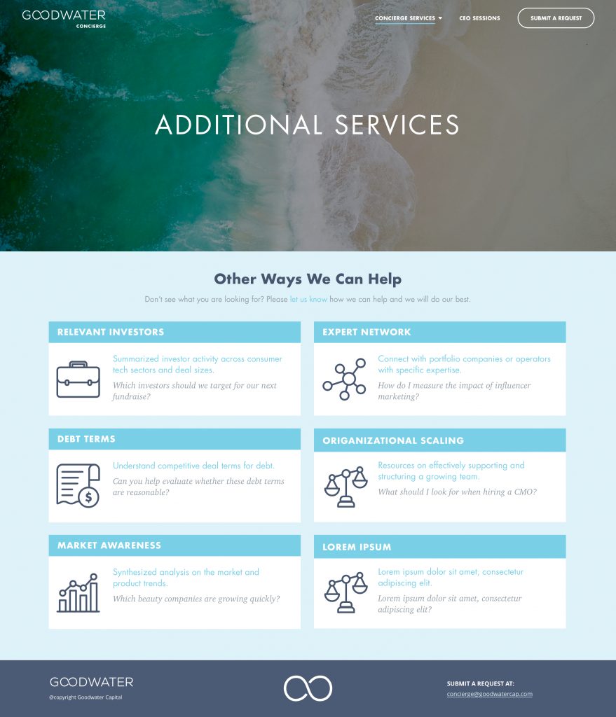 Additional Services page with relevant investors, expert network, debt terms and other offerings